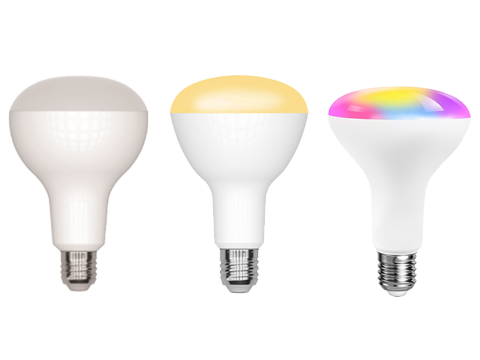 Opaque Bulb